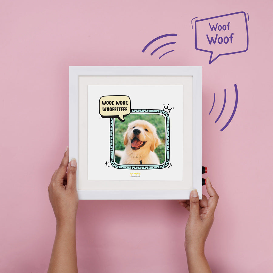 Pet Frame Audio