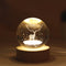 Reindeer Globe Lamp