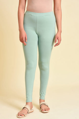 Cameo Green Cotton Jersey Tights