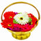 Flower Basket, Plain Stripe Butti, Temple Basket,