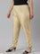 Women Light Gold Solid Mid Rise Metallic Pants