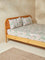 Westside Home Rust Botanical King Bed Fitted Sheet and Pillowcase Set