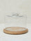 Westside Home Brown Floral Design Glass Base & Cloche