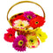 Flower Basket, Plain Stripe Butti, Temple Basket,