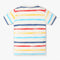 Boys Crew Neck Striped Skiddle Tie Dye T-Shirt