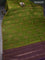 Banarasi tussar silk saree mehendi green and purple with thread & zari woven floral buttas and woven border