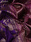 Banarasi dupion silk saree violet and purple with allover thread & zari floral weaves and woven border