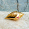 Brass Shankh, Brass Pujas Shell, Traditional Brass Shankh for Puja