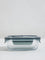 Westside Home Mint Rectangular Tiffin Box