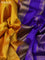 10 Yards silk saree mustard yellow and blue with plain body and zari woven border