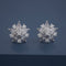 92.5 Silver Earring 168158