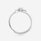 92.5 Silver Finger Ring 194589