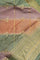 Chiniya Silk Multi Colour Saree