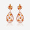 Meenakari  Zircon Earring 169716